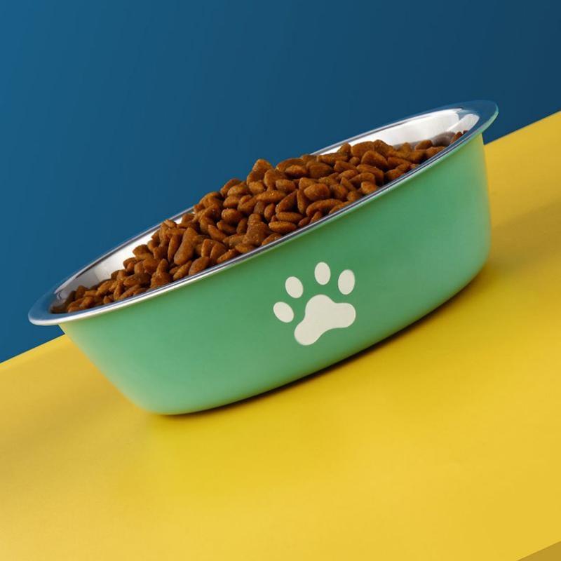 Stainless Steel Pet Water Food Bowl with Paw Print Anti-slip Silicone Base Feeder for Dogs Cats Home Outdoor Use