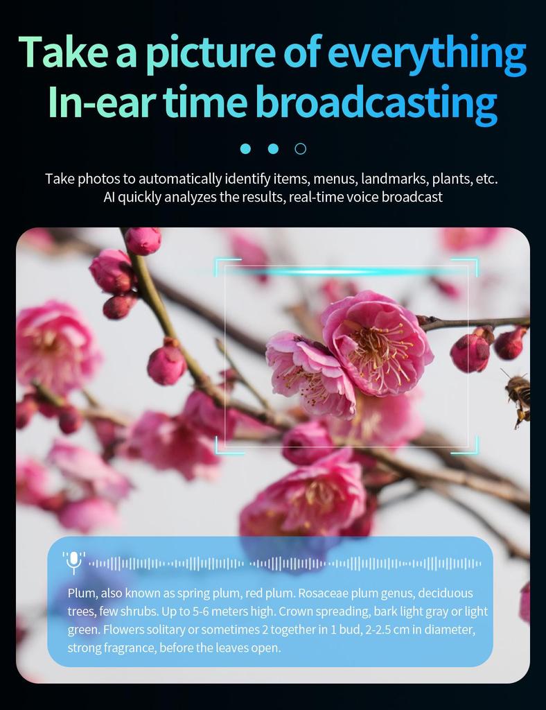 CY01 Smart Glasses: 800W Camera with Anti-Shake, AI Translation, Object Recognition, Music & Call Features