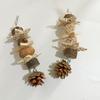 Pine Cone Star Chew Toys for Birds