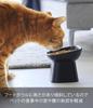 Yamazaki Jitsugyo (Yamazaki) Easy-to-Eat Height Ceramic Pet Food Bowl Diagonal Tall Black Approx. W12 X D12 X H11.5cm Tower Feed Container Water