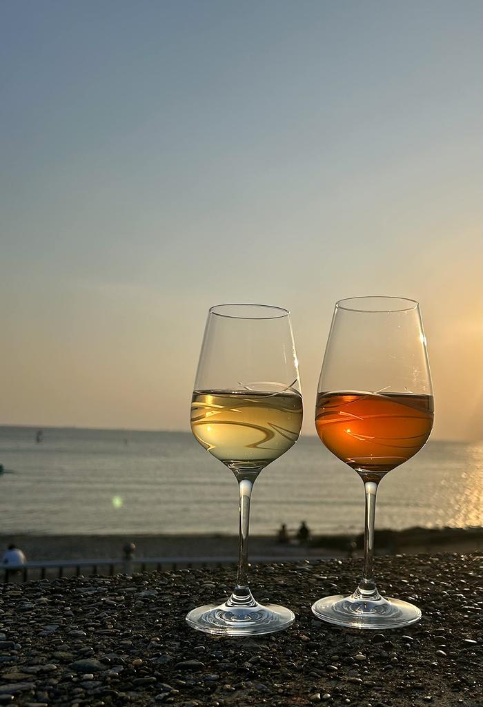 Fantasy Red Wine Excellence Fantasy Wine Glass Red Wine Pair Set [DIAMANTE] S/2 [DIAMANTE]