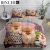 Pomeranian Dog King Queen Duvet Cover Puppy Bedding Collection For Teens Adults Pet Animal Colorful Sky 23Pcs Polyester Quilt Cover