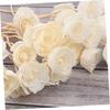 BESPORTBLE 8pcs Rattan Sola Flower Essential Oil Vines White Outfit Wood Appliques Floral Diffuser Wick Spa Perfume Beautiful Diffuser Flowers Wooden