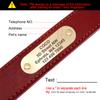 Personalized Dog Collar And Leash Set Real Leather Pet Collars Dogs Walking Lead Leash for Small Large Dogs Pitbull XXS-XL