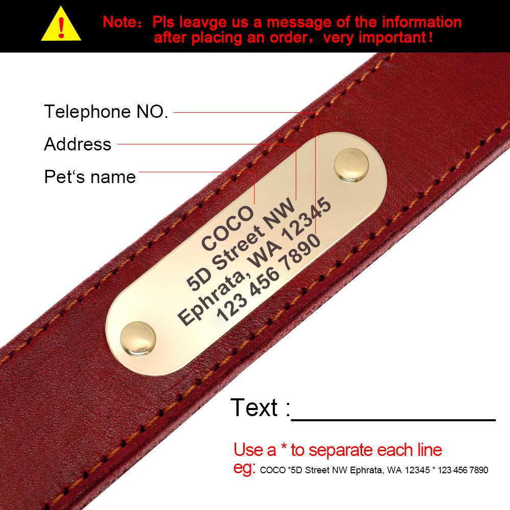 Personalized Dog Collar And Leash Set Real Leather Pet Collars Dogs Walking Lead Leash for Small Large Dogs Pitbull XXS-XL