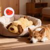 Köpek – Köpek oyuncakları