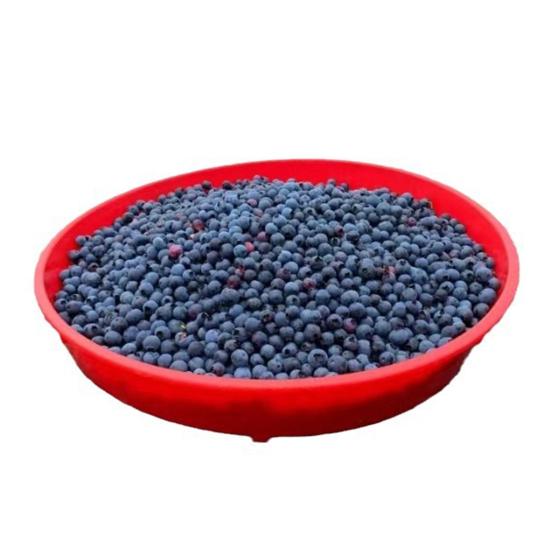 Blueberry Food Sieve Colander Cleaning Tray Drain Berry Vegetable Basket Washing Kitchen Fruit And