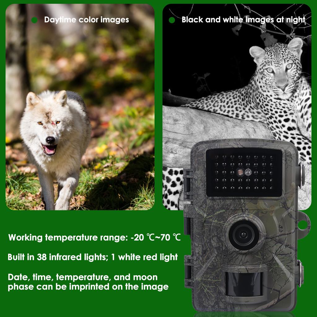 Mini HD Hunting Camera PIR Infrared Night Vision IP66 Waterproof Trail Camera for Outdoor Wildlife Monitoring and Scouting