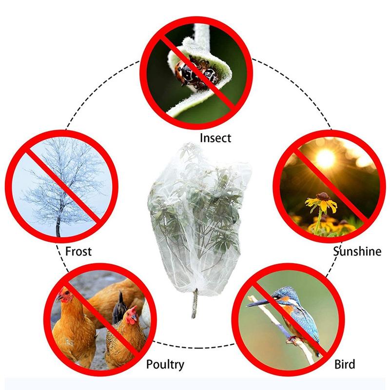 Plant Insect Proof Protective Cover Greenhouse Fruit Tree Protection Mesh Bird Proof Net Gardening Pest Control Anti-bird