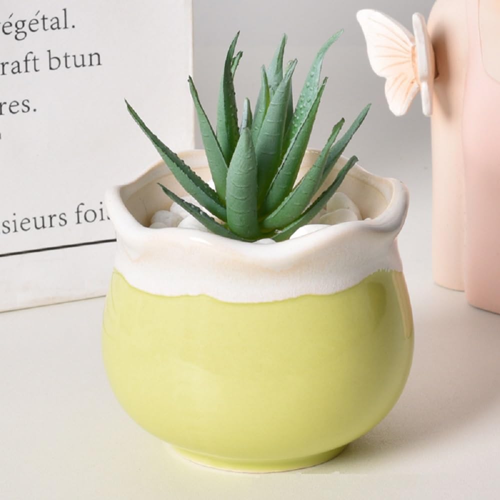 Koundeneko Succulent Set of Ceramic 2 Small Cactus Stylish Tabletop Bonsai Mini Ceramic Home Shop Interior Plant Housewarming Gift for Plant Suitable