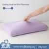 Free Shipping Ice Silk Pillowcases: Set of Two Cooling, High Elasticity, Summer Memory Foam Covers