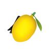 Lifelike Fruit And Vegetable Hair Clips Resin Hairpin Hairpieces Practical Fashion Accessories For Women And Children