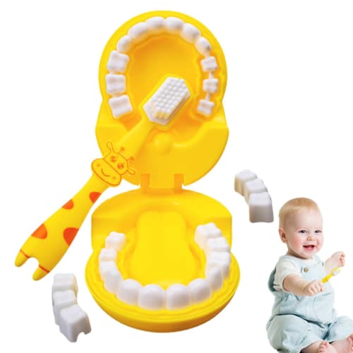 Teeth Model Toy - Toothbrush Toy, Scratch-Resistant Teeth Educational Toy | Soft Bristle Toy with Detachable Giraffe Shape, Preschool Educational Toy,