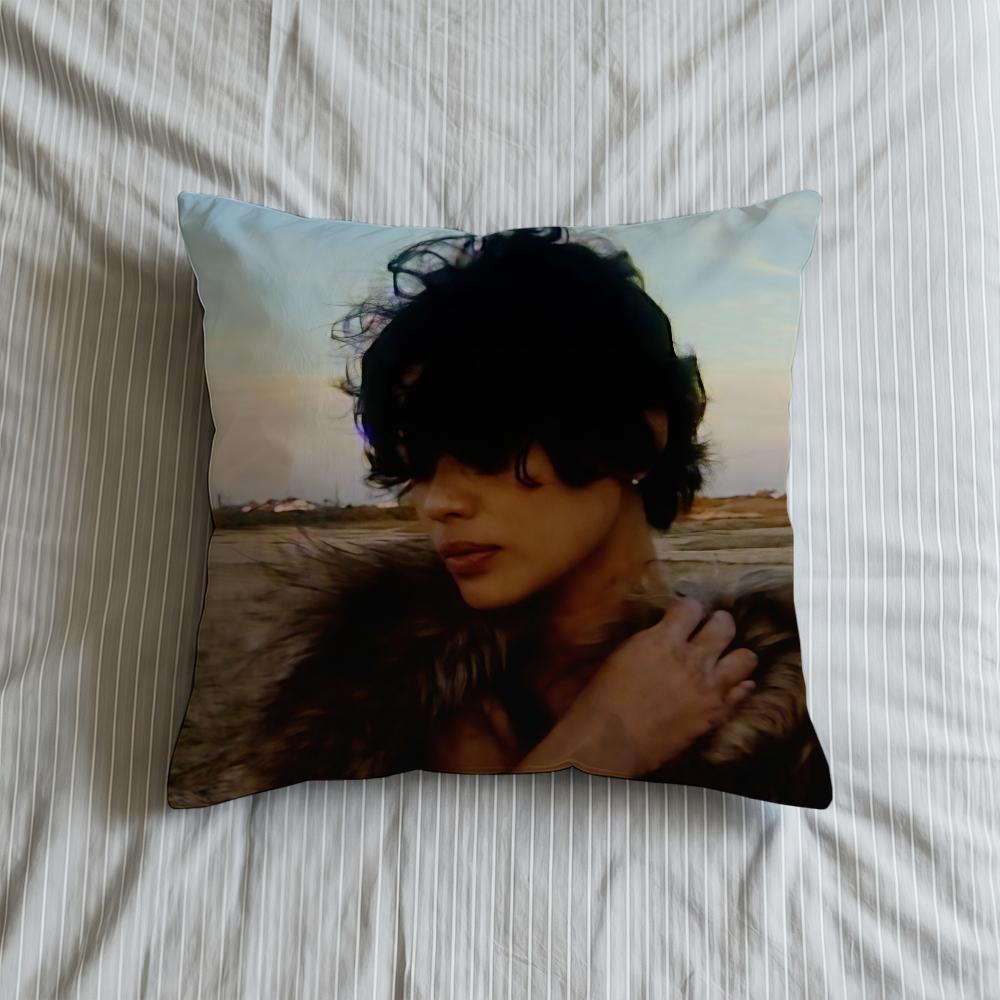 Fleeting Cushion Cover Soft Case Sofa Living Room Home Comfortable Office Decor Protective Unflirt Pillow