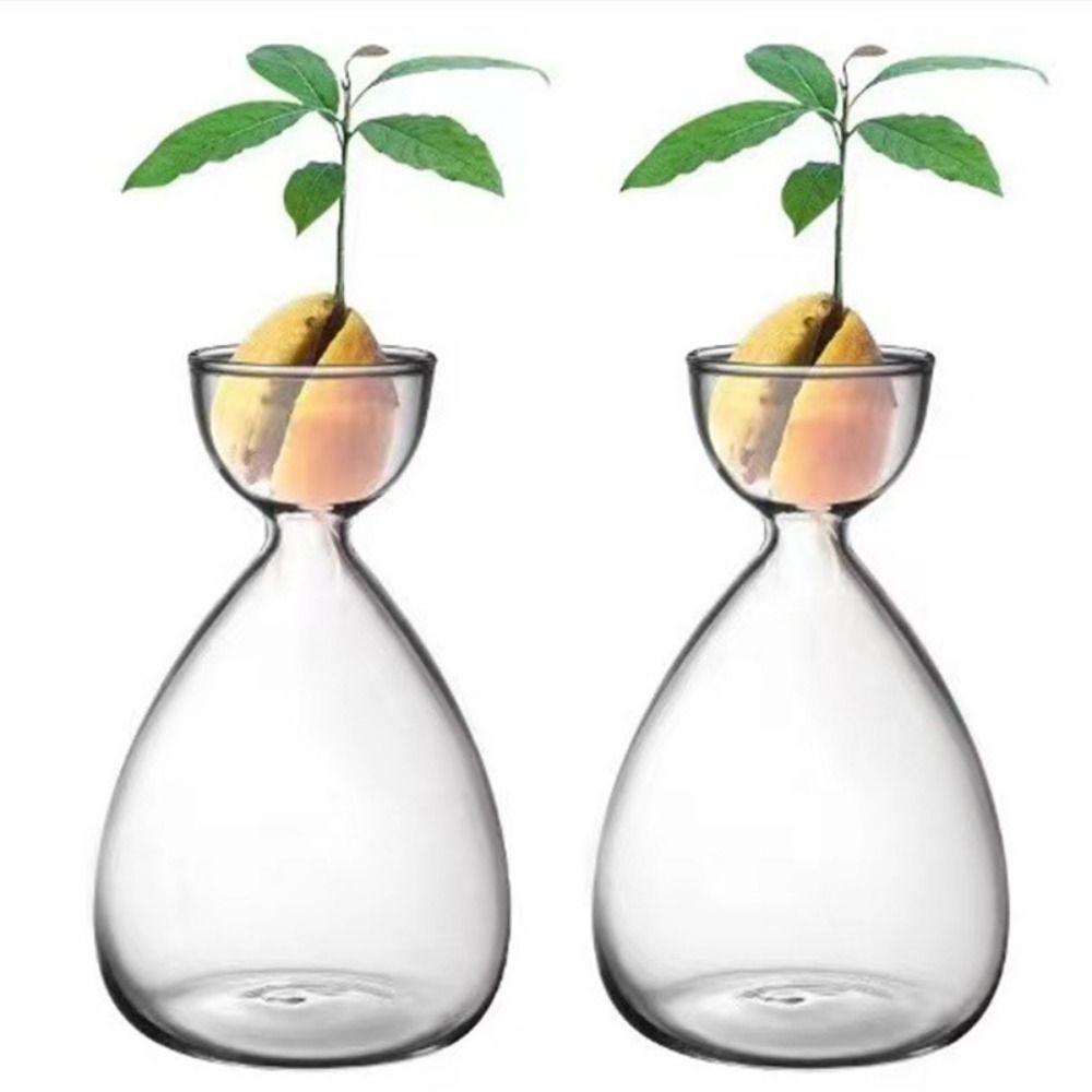 Small Avocado Hydroponic Bottle Heat-resistant Transparent Breeding Container  Indoor