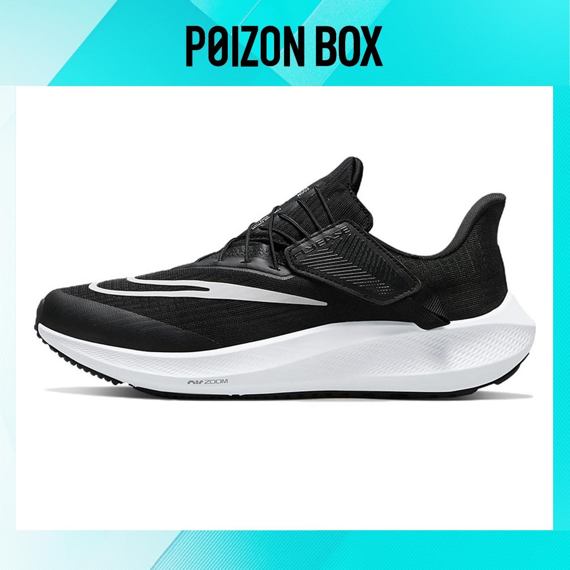 

кроссовки Nike Pegasus FlyEase Running shoes Women DJ7383-001