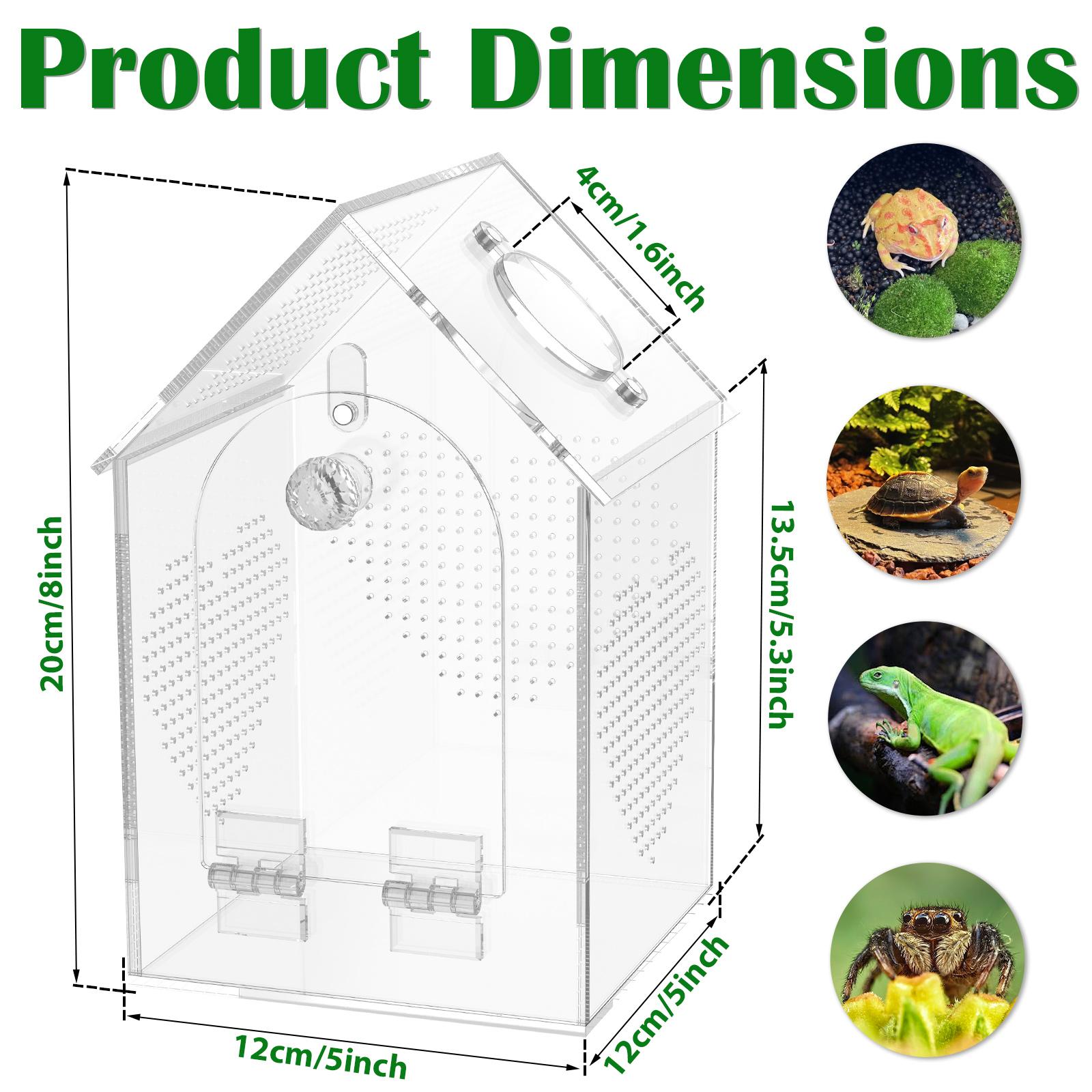 Clear Jumping Spider Enclosure Acrylic Tarantula Terrarium with Feeding Port and Ventilation Holes Small Reptile Feeding Box