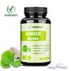 Biologische Ginkgo Biloba 1400mg - Hersencapaciteit, Geheugen & Concentratie, Niet-GGO