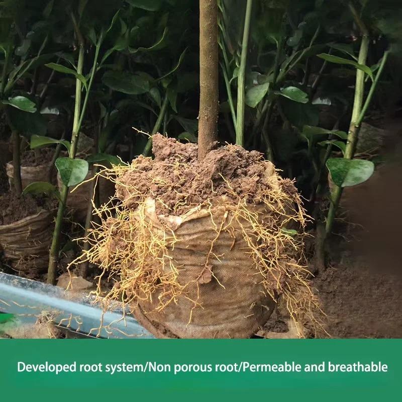 100PCS Non-woven Seeding Grow Bags Biodegradable Seed Nursery Bags Plants Seeds To Sow Flower Pots Pouch Home Garden Supply
