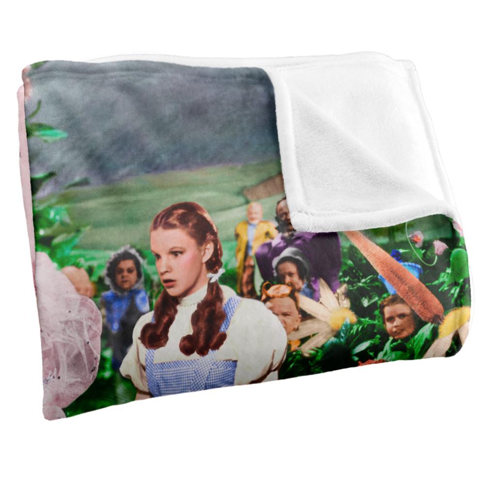 The Wizard Of Oz Scene Dorothy Blanket