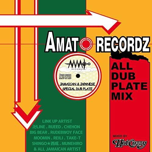 

CD HOT COZZY AMATO RECORDZ ALL DUB PLATE MIX AMATO002 Japan Japanese Club Dance Used