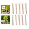 3 5 Inch Copper Nails for Killing Tree Roots and Stumps Effective Hardware for Tree Stump Removal and Root Control