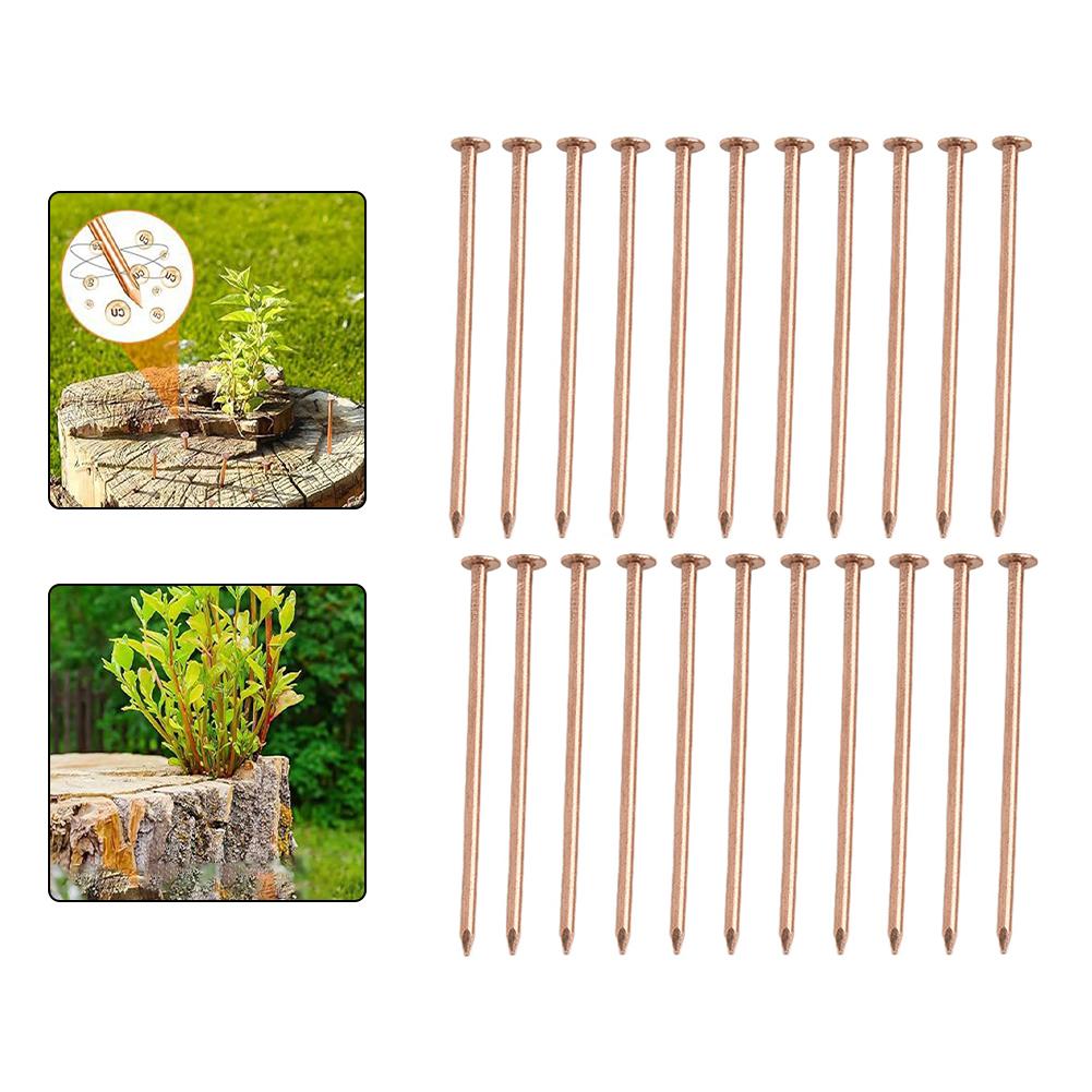 3 5 Inch Copper Nails for Killing Tree Roots and Stumps Effective Hardware for Tree Stump Removal and Root Control