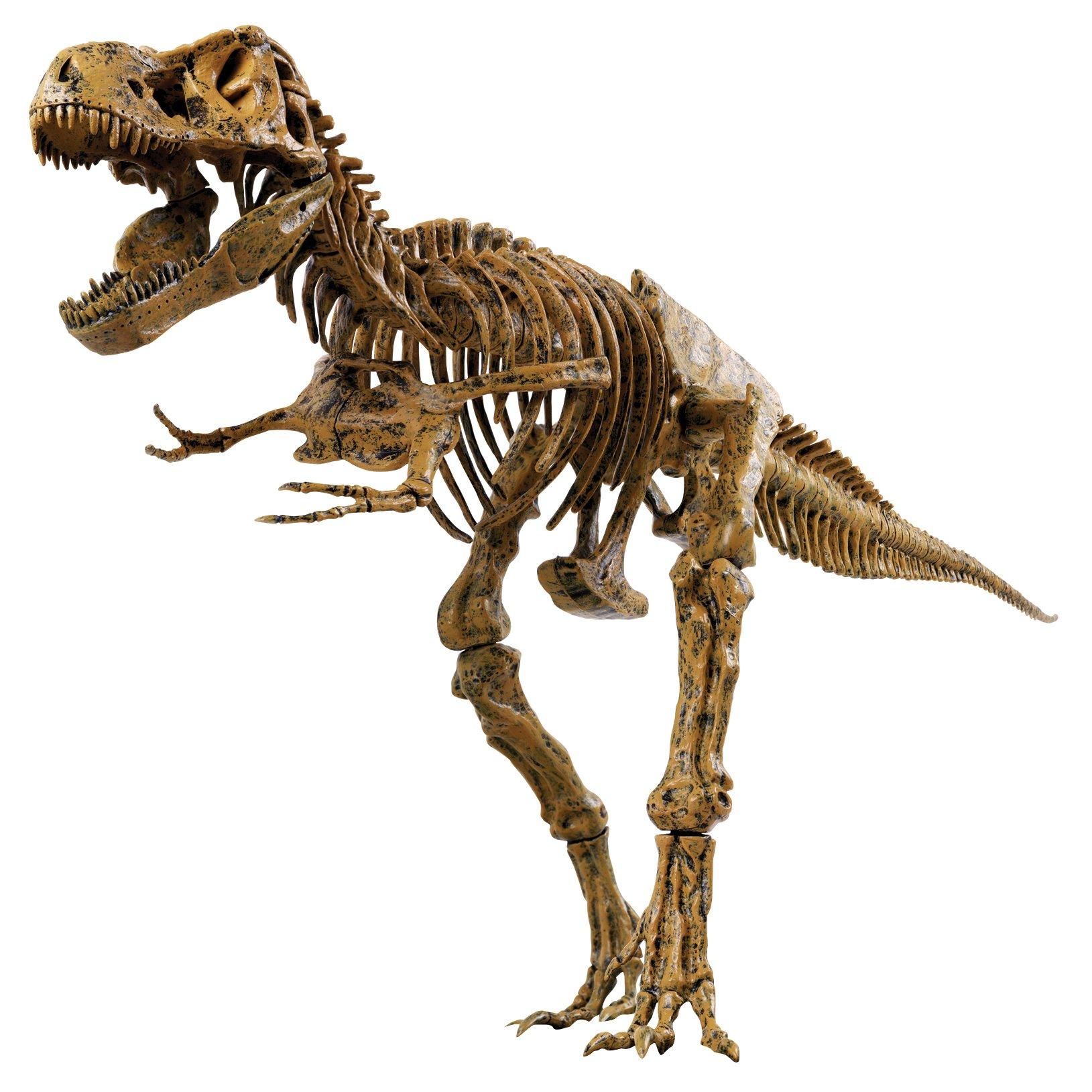 

Dinosaur Craft Kit 51 Pieces Tyrannosaurus VT026 EDU-TOYS