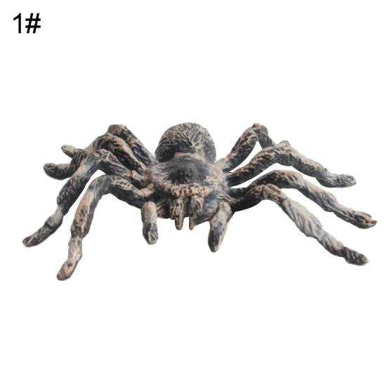 Realistic 3D Spider Wild Insect Model Prank Halloween Trick Prop Kids Toy Gift