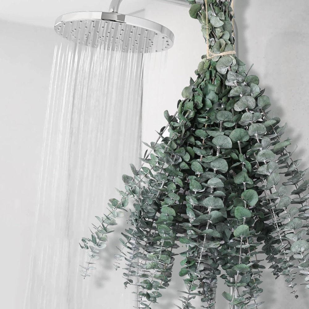 10 Pcs Real Leaves Artificial Plants Flowers 22 inch Preserved Eucalyptus Stems  Shower