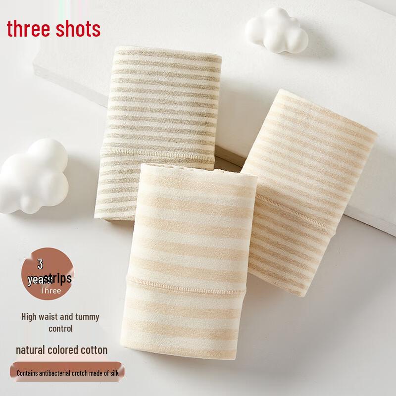 Sanqiang Women's Antibacterial High-Waist Briefs