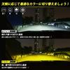 KOZATO Fog Lamp, H8 LED, 2 Color Switching, H9, H11, H16 (Domestic Cars), LED