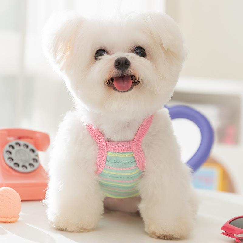 Spring and Summer New Breathable Dog Clothes Cute Color Striped Leash Vest Than Bear Teddy Pet Clothing