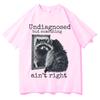 Streetwear Un diagnostiziert Aber Etwas Stimmt Nicht Lustiges Waschbär Meme Unisex Damen Freizeitkleidung Vintage 90er Jahre Mode Lockeres T-Shirt