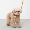 Charm Leather Dog Collar for Small Dogs and Medium Dogs Genuine Cow Leather Shrink Processing Lightweight Adjustable Size Leather for Walks and
