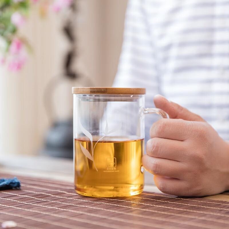 Sohome 500ml Heat-Resistant Glass Mug with Bamboo Lid