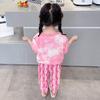 Girls Summer Fashion 2 Piece Set Cute Short Sleeve Top And Long Pants Baby Casual Outfit
