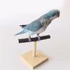 Multifunctional Parrots Stand Branch Stand Scratchers for Conure Lovebirds