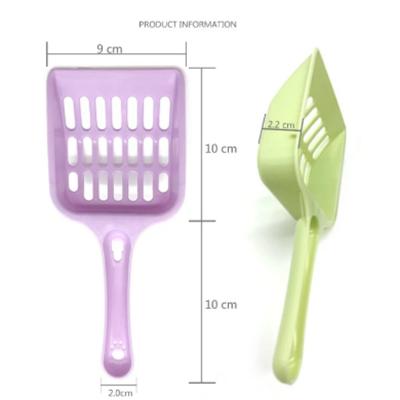 Gatos – Cuidados de gatos