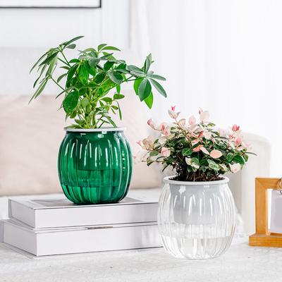 Transparenter Kürbis-Bewässerungsübertopf Verdickter Blumentopf Sichtbare Ornamente für Innen Außen Schreibtisch Blumenzubehör