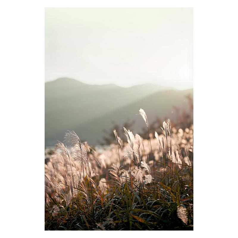 

Зеленые ботанические листья, скандинавский дом, цветок, холст, постер, пейзажный принт, картина, настенная живопись, растение, картина для гостиной, спальни 21x30cm No Framed