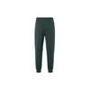 Nike Therma Knitted Sweatpants Men's Vintage Green FZ0976-338