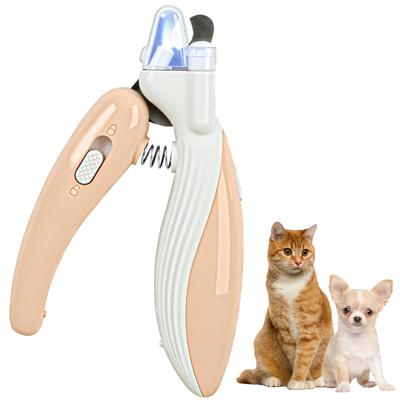Kedi – Kedi bakım ürünleri