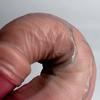 Realistic Huge Thick Liquid Silicone Dildo, Soft Big Diameter Suction Cup Penis, Lifelike G-Spot & Anal Massager for Women, Couples Adult Toy