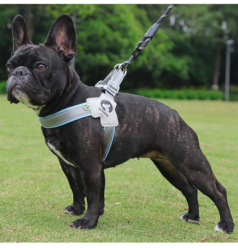 Adjustable Vest Dog Harness and Leash Set for Small to Medium Breeds - Corgi, Shiba Inu, French Bulldog