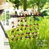 Cloud Healing Seed Pod Wind Chime Pendant Rattle Natural Seed Pods Healing Instrument Stringed Bell Yoga Meditation
