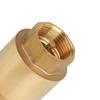 Vertical Check Valves Brass Internal Thread Connection Spring Assisted Closure 4 Inch Thickened Structure Pipe Fitting
