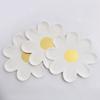 10pcs Daisy Picnic Paper Plate Tableware White Daisies Flowers Plates for Summer Daisy Flower Theme Kids Birthday Party Decor