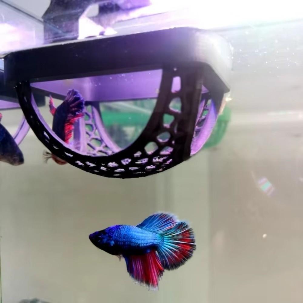 Ornamental Habitat Fish Refuge Caves Aquarium Tunnel Shrimp Hiding Places  Fish Tank Decoration