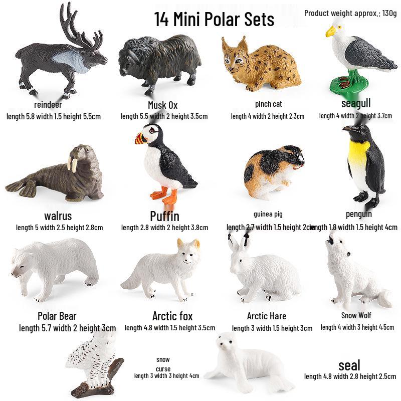 Pediatric Learning Model: Plastic Animal Growth Cycles - Frog, Butterfly, Rooster, Sea Turtle, Chinese Horseshoe Crab